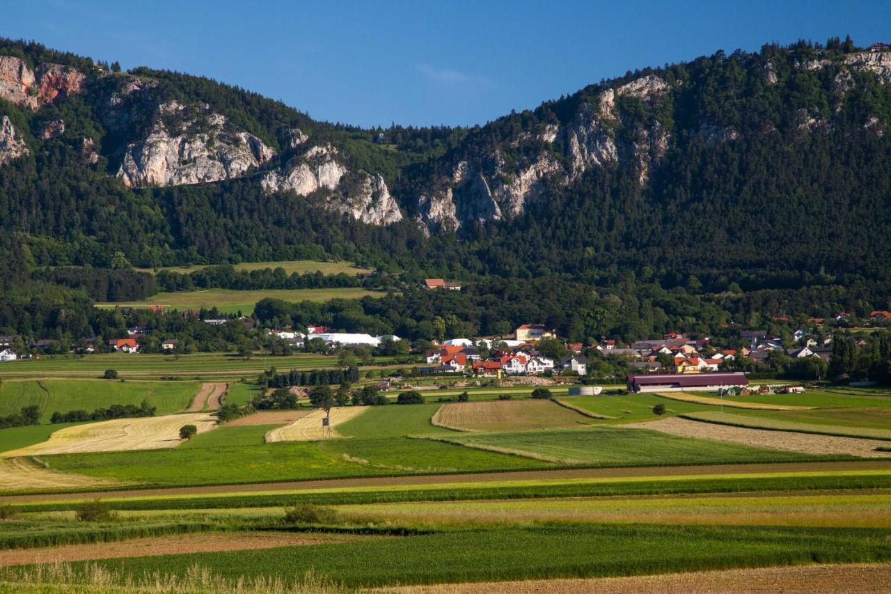 Hotel Farmhouse - Hohe Wand Stollhof Zewnętrze zdjęcie